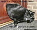 Фотография Герман Синёв