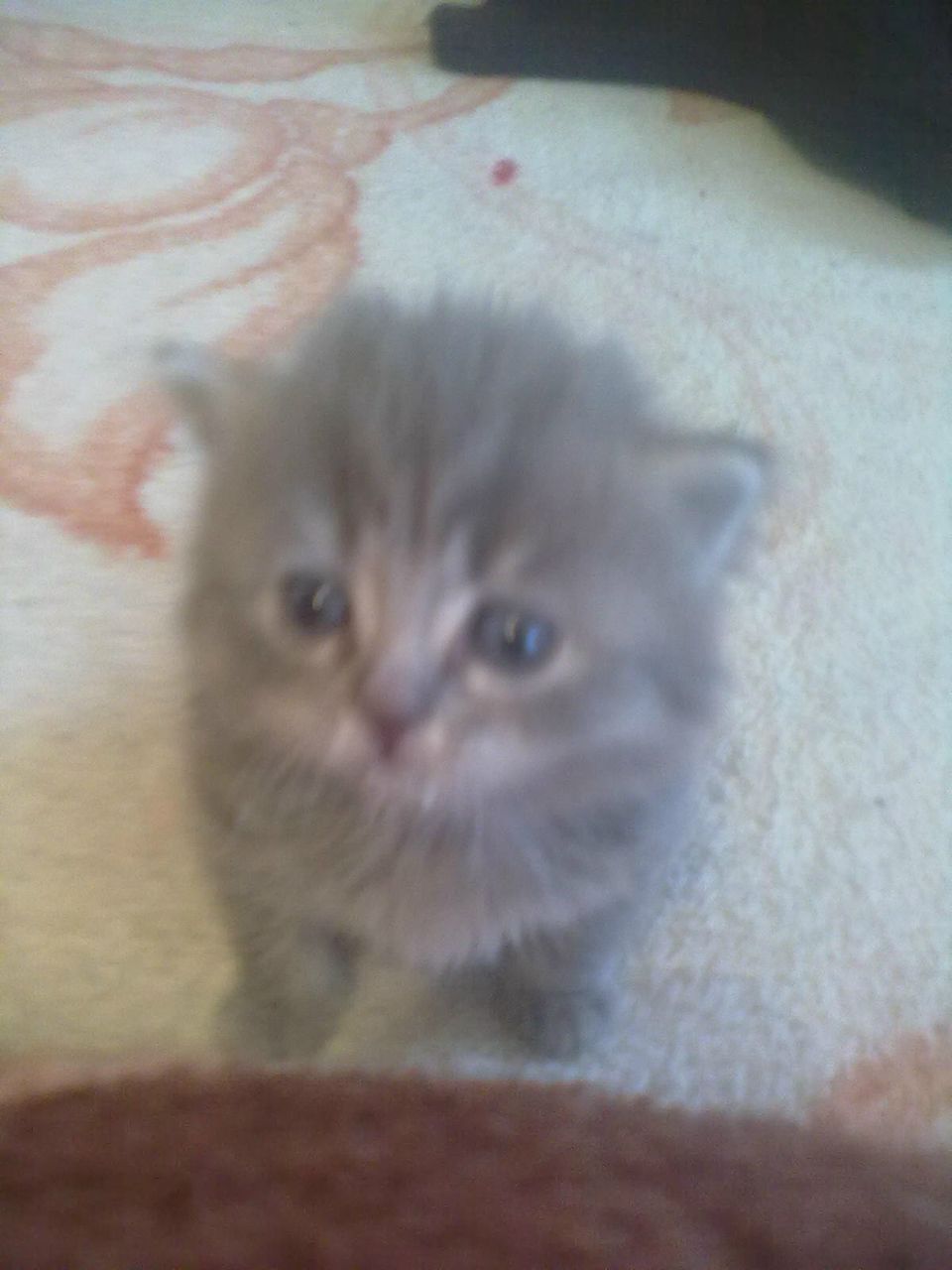 Тамара Спиридонова | Юшала