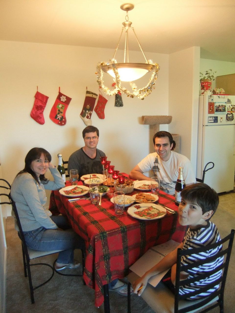 Дарина Андерсен | Scottsdale