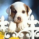 Фотография Анжела Вишнякова