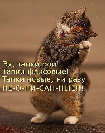 Алексей Гончаров | Ростов-на-Дону