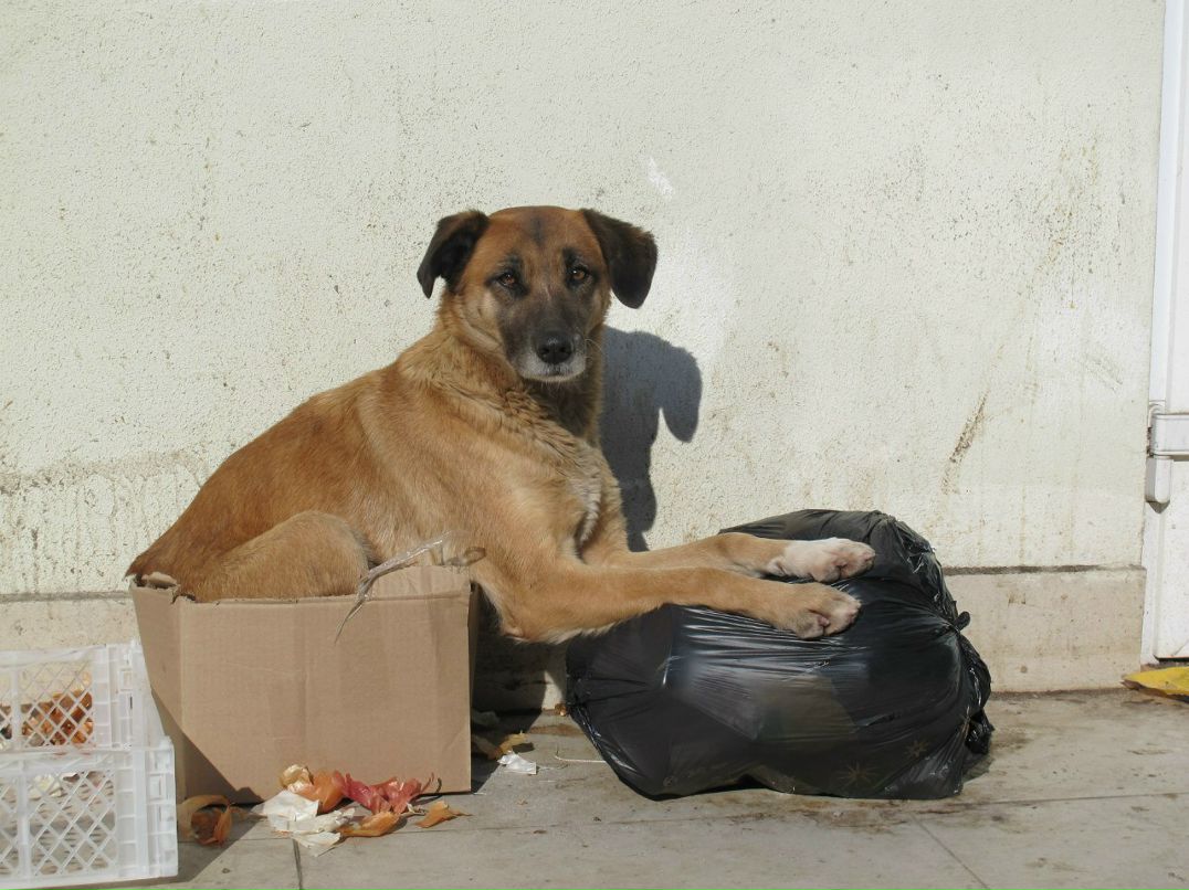 Антон Барабашов Барабашка | Санкт-Петербург