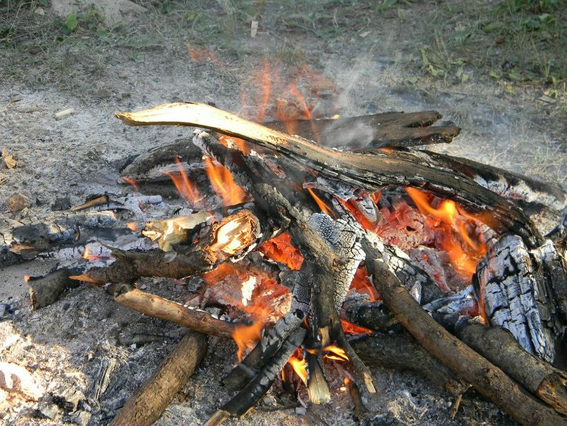 №1, Андрей Фененко №1, Андрей Фененко