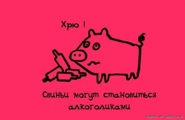 №143, Екатерина Плужникова, 1.1.1990, Магнитогорск №143, Екатерина Плужникова, 1.1.1990, Магнитогорск