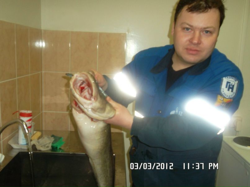 Константин Костицын | Челябинск