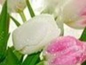 Кристина Петраш | Запорожье