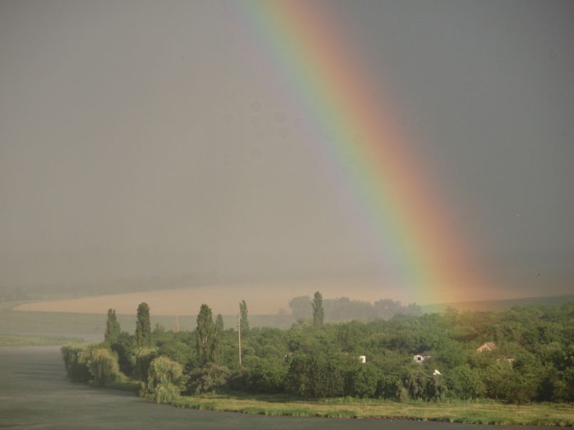 Инна Комарова | 