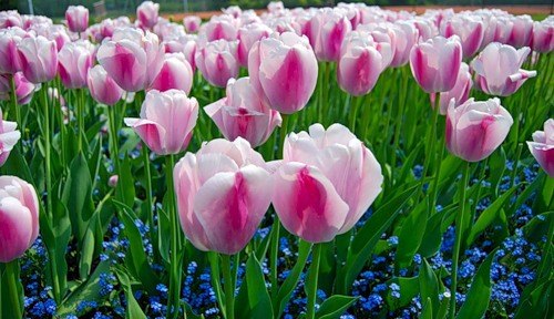 Катя Прокопьева | Нижний Новгород