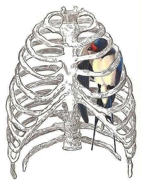 Кристина Волошина | Белгород