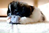 №31 Олег Шишов 18.04.1987: профиль, фото, статус - ВКонтакте