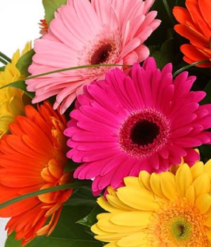 №85, Наташа Ковальчук, Березно №85, Наташа Ковальчук, Березно