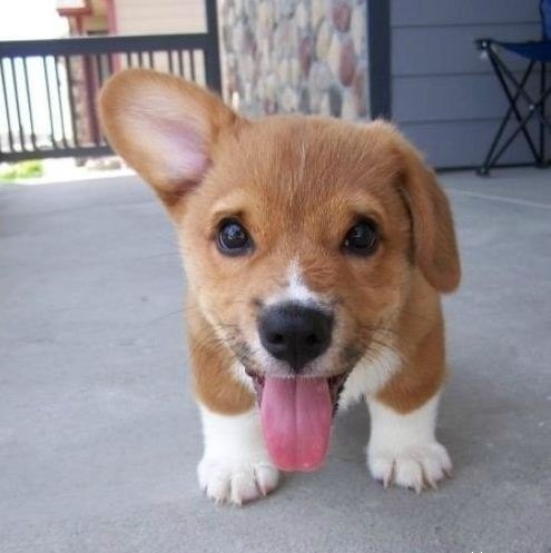 Сергей Лукоянов | Кстово