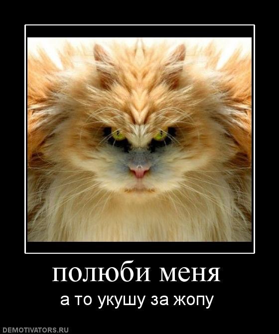 Шмуэль Левошкин | Калининград