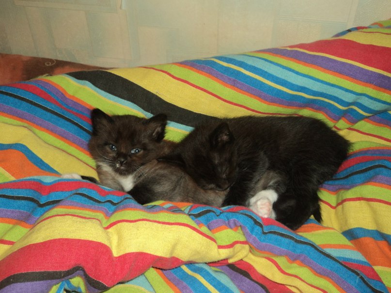 Катя Смолина | Ярославль