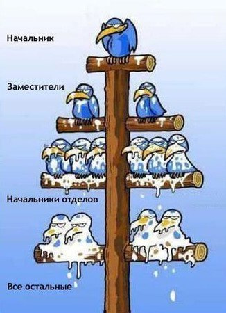 Света Ящук | 
