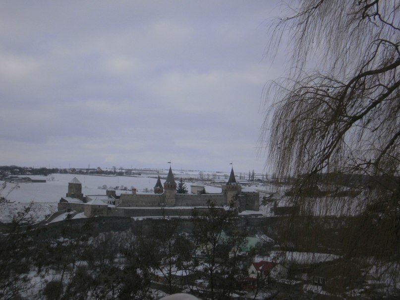 Алексей Щербак | 