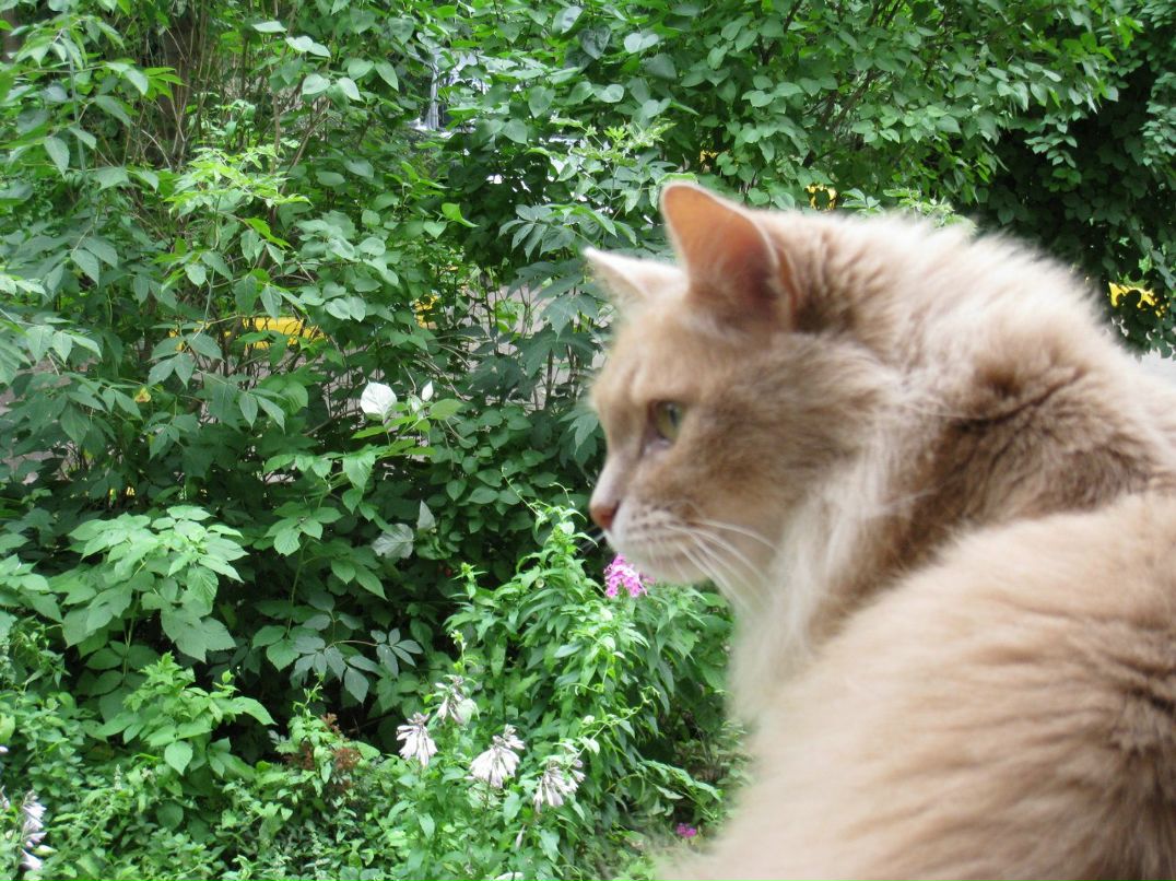 Валентина Морозова | Москва