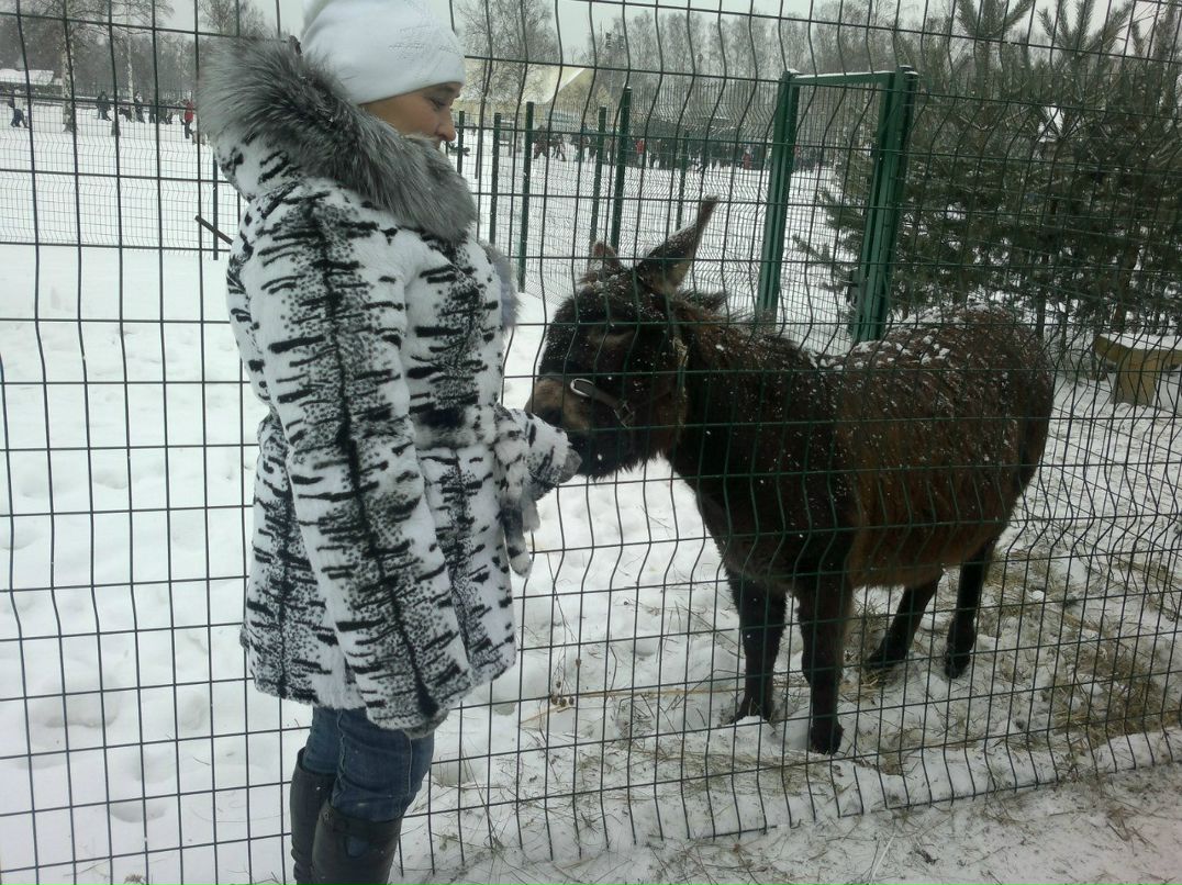 Алёнушка Сысоюшка | Санкт-Петербург