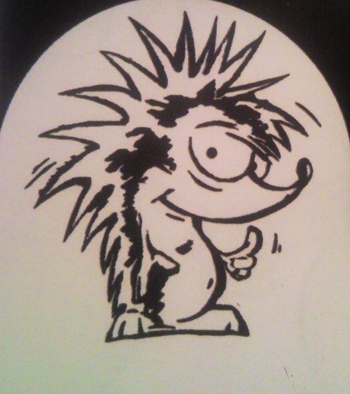 Ксения Азаренкова *почтовый йожыг* | Санкт-Петербург