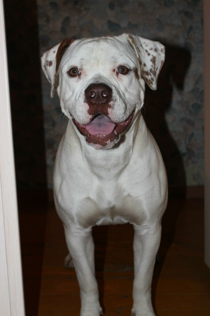 Глеб Гвоздев | Челябинск