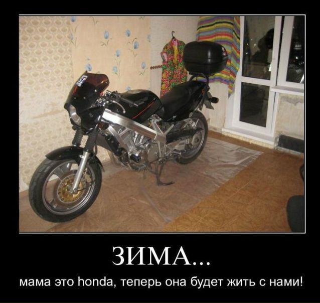 №5, Татьяна Мурга, 38 лет, Lisboa, Португалия №5, Татьяна Мурга, 38 лет, Lisboa, Португалия