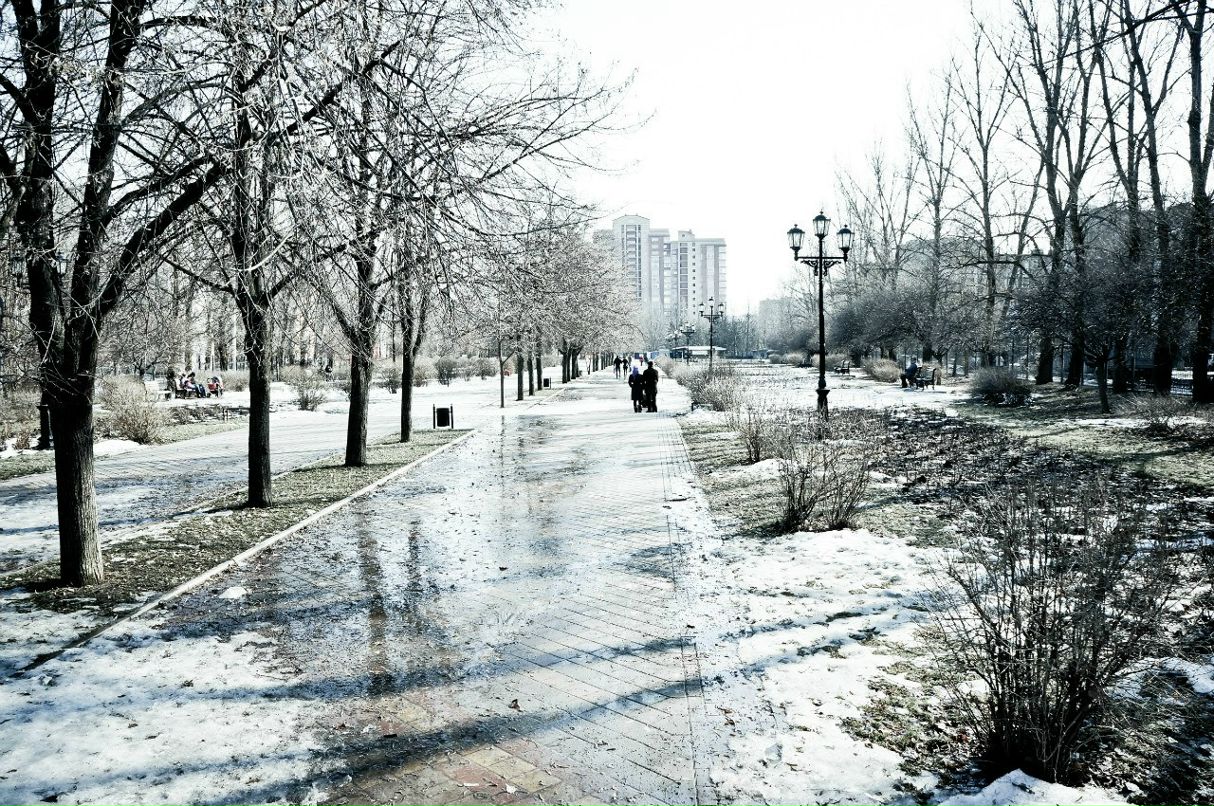 Денис Никитин | Ростов-на-Дону