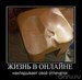 Денис Смольников фотография #13