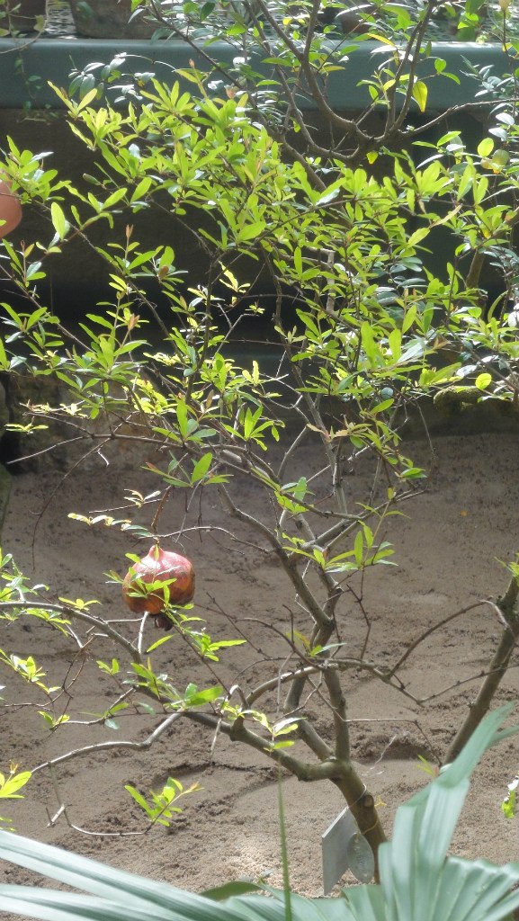 Юля Машкова | Волжский