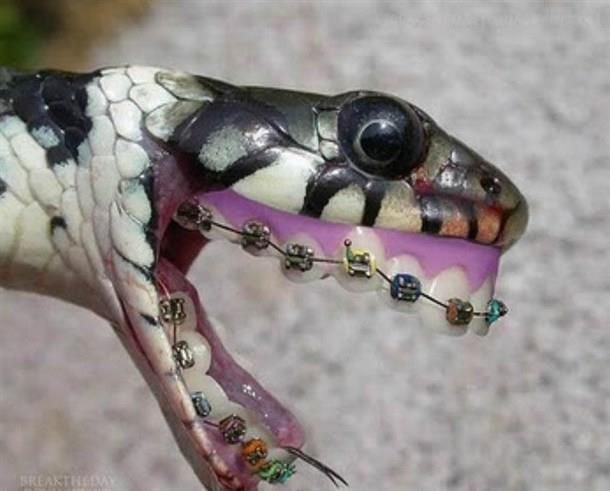 Ulvi Aliyev | Баку