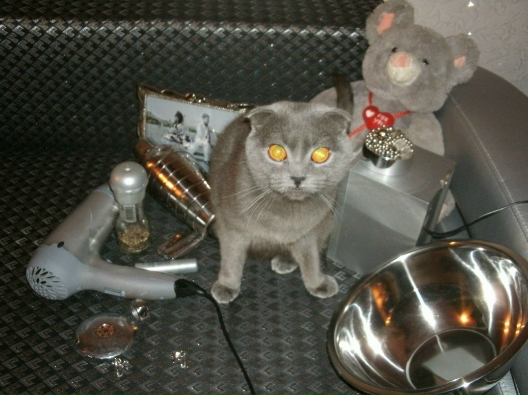 Екатерина Власова | Омск