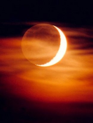 Юлия Харитонова | 