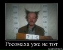 Фотография Алексей Лаптев
