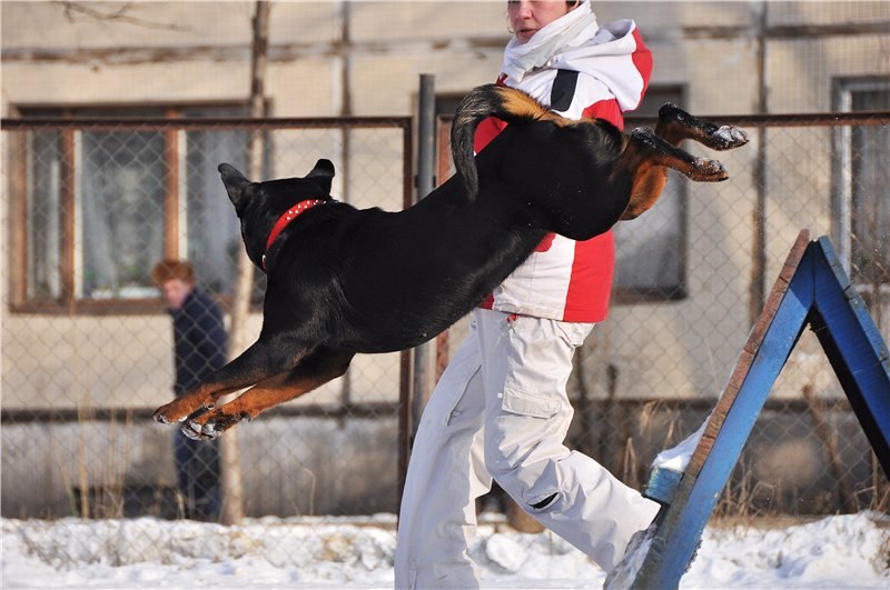 Татьяна Черенкова | Санкт-Петербург