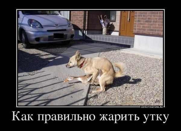 Михаил Очнев -%$-Папа Миша-$%- | Тамбов