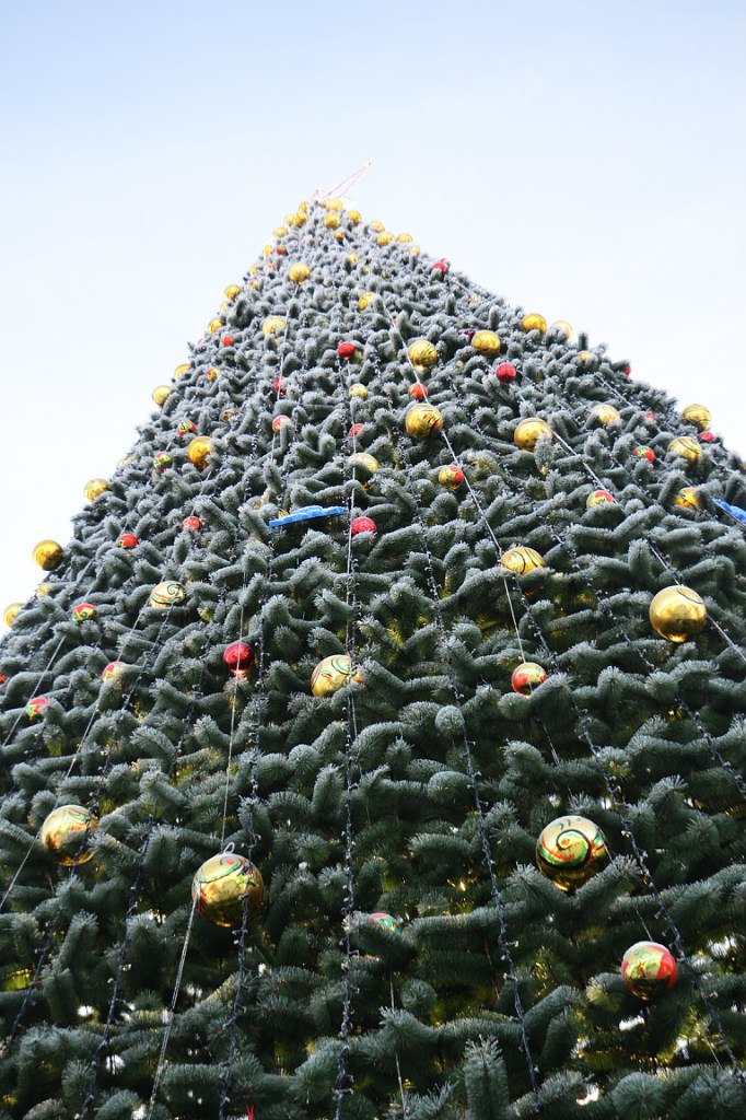 Роман Ромадин | Барнаул