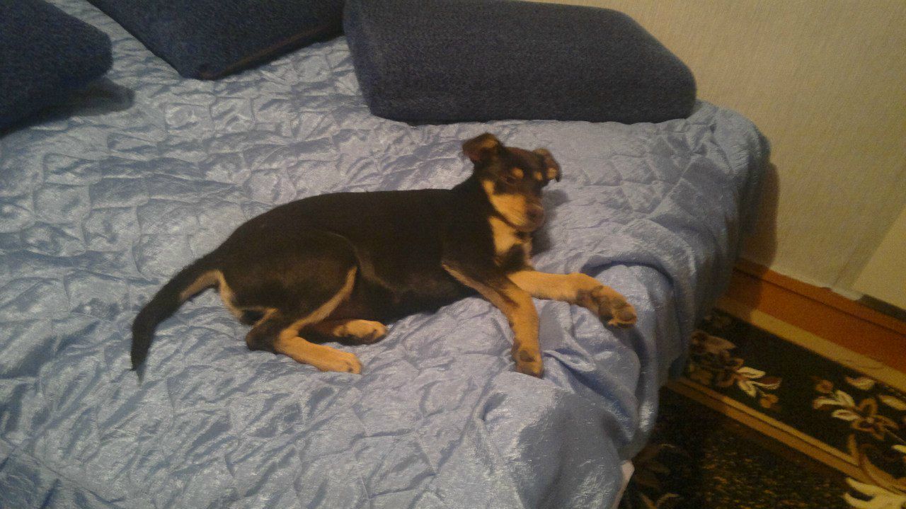 Олег Янковский ОлЕжКа:) | Киев