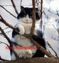 Фотография Дорошенко Виктории