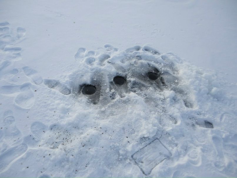 Дима Хачев | Донецк