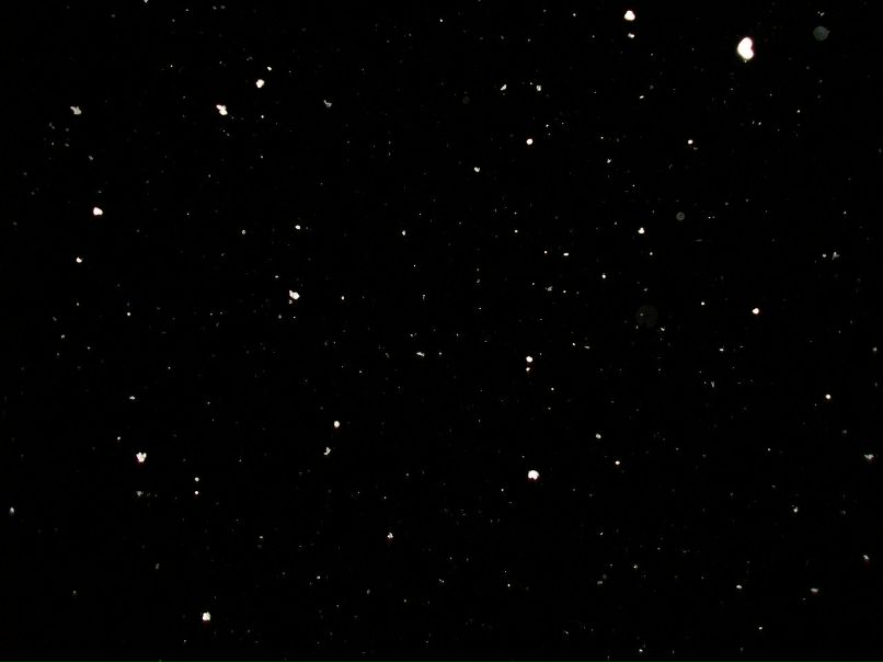 Марина Корнакова | Санкт-Петербург