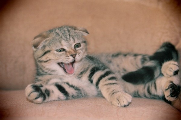 Светлана Акимова | Красноармейск