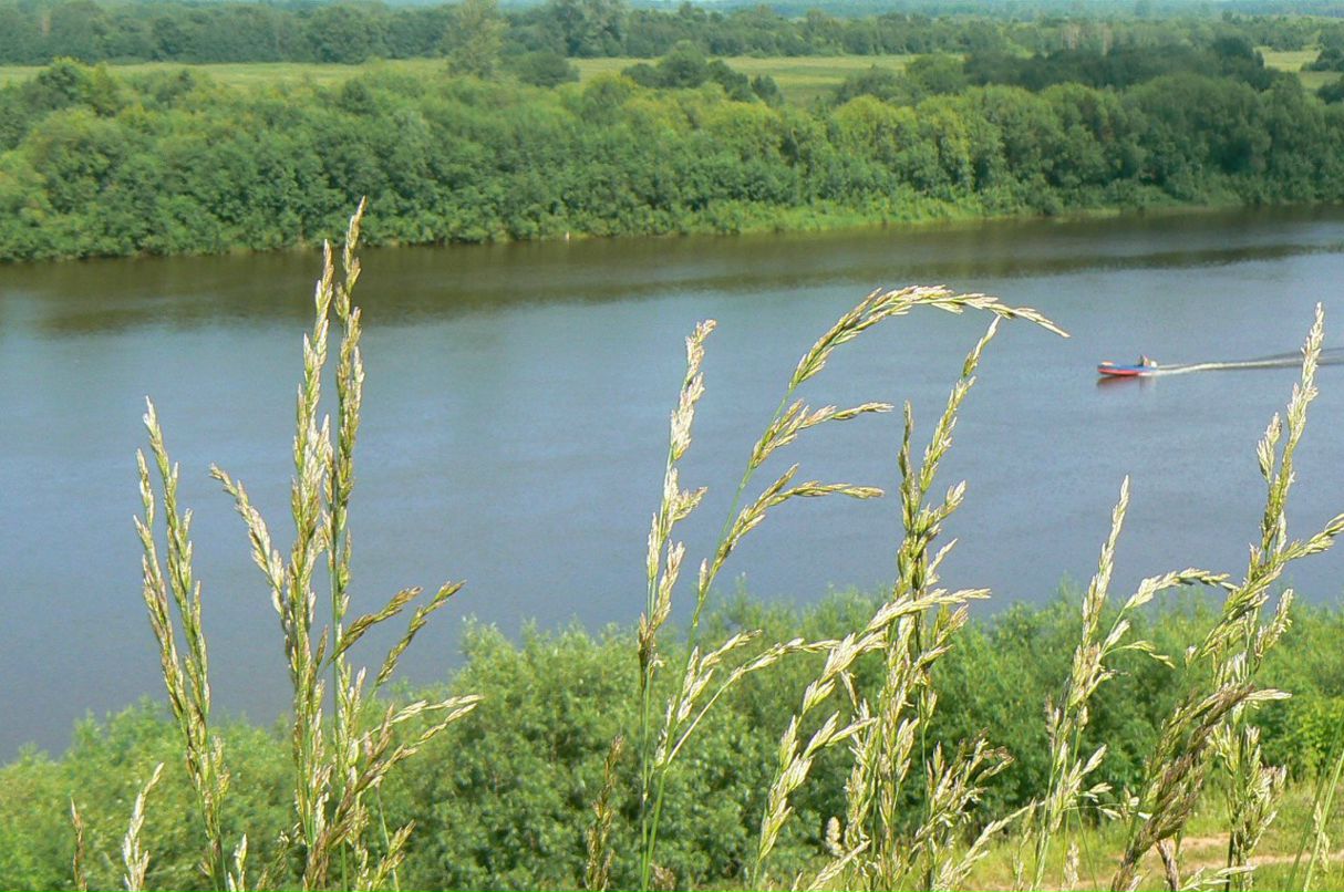 Наталия Дегтярева | Москва
