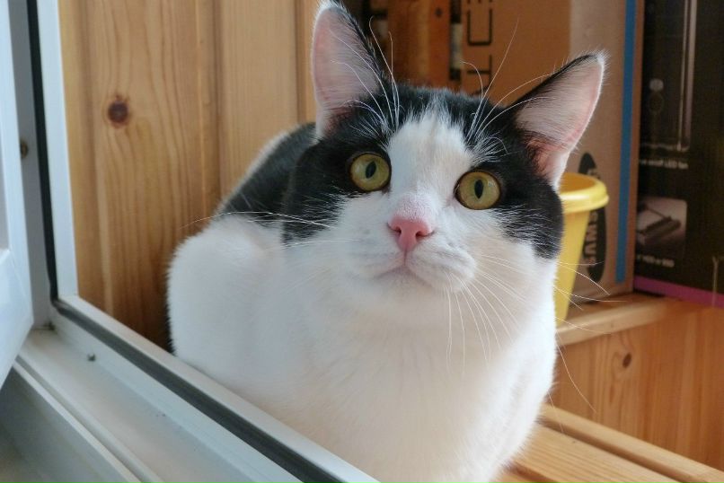 Елена Тюсенкова | Уфа