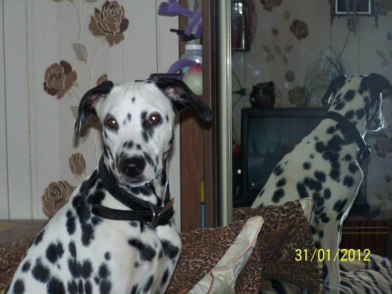 Любовь Бугеда | Одесса