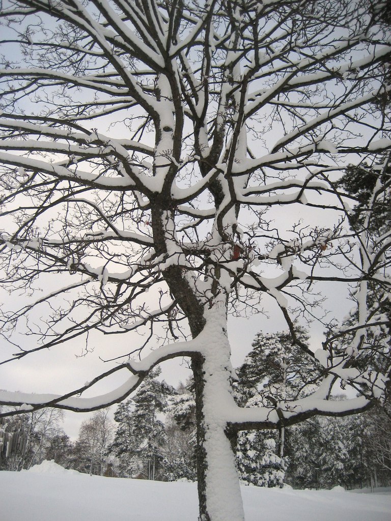 Елена Пономарева | 