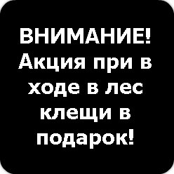 Илья Трофимов | Орск