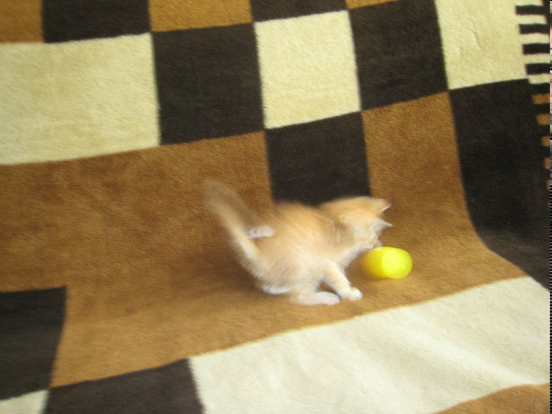 Павел Сдобнов | Москва