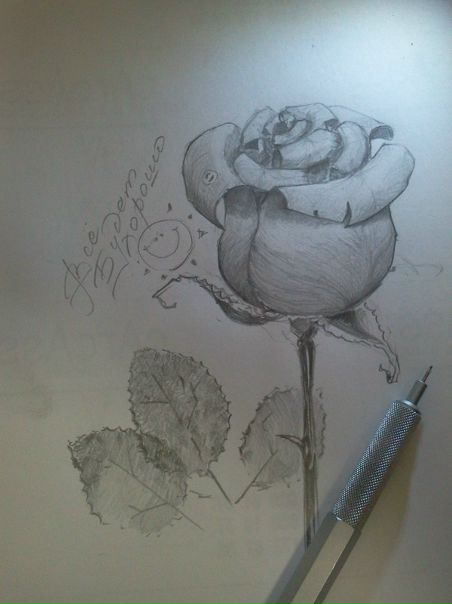 №137, Светлана Рыбакова, 38 лет, Санкт-Петербург №137, Светлана Рыбакова, 38 лет, Санкт-Петербург