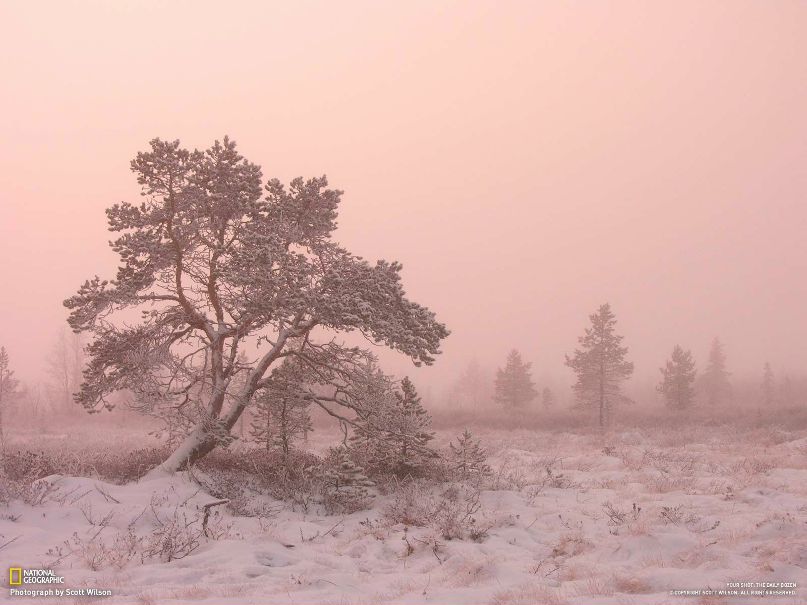 Аиша Сякина عائشة | Новосибирск
