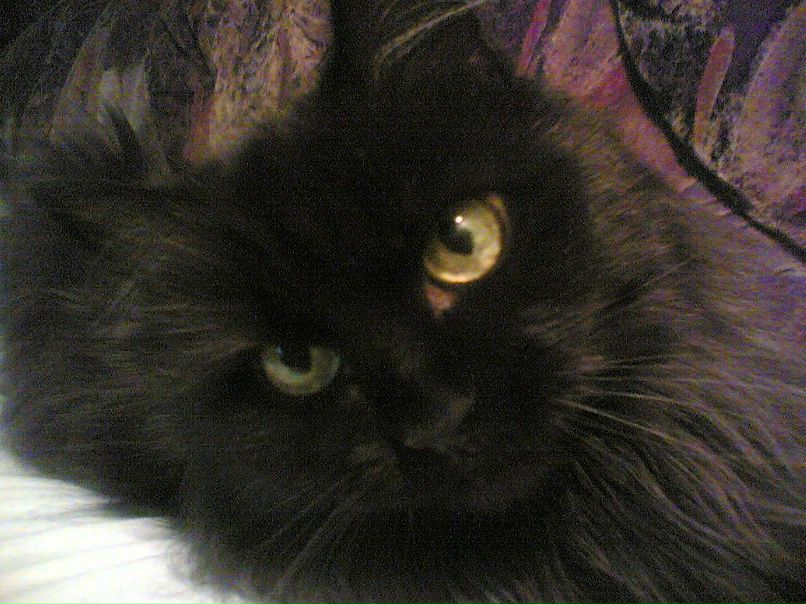 Иван Самойлов | Москва