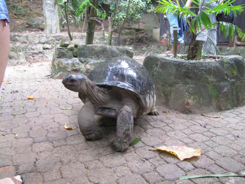 Денис Рубель | Москва